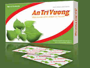 An Trĩ Vương