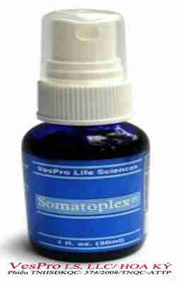 Somatoplex