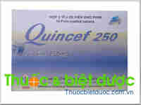 Quincef 250mg