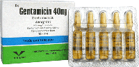 Gentamicin 40mg/ml