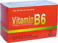 Vitamin B6 100mg