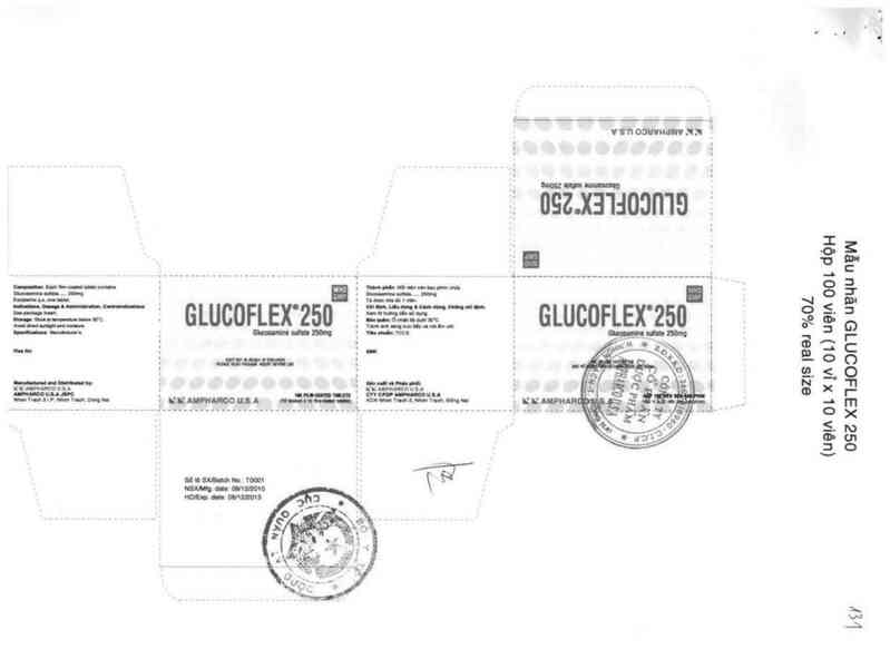 thông tin, cách dùng, giá thuốc Glucoflex 250 - ảnh 1