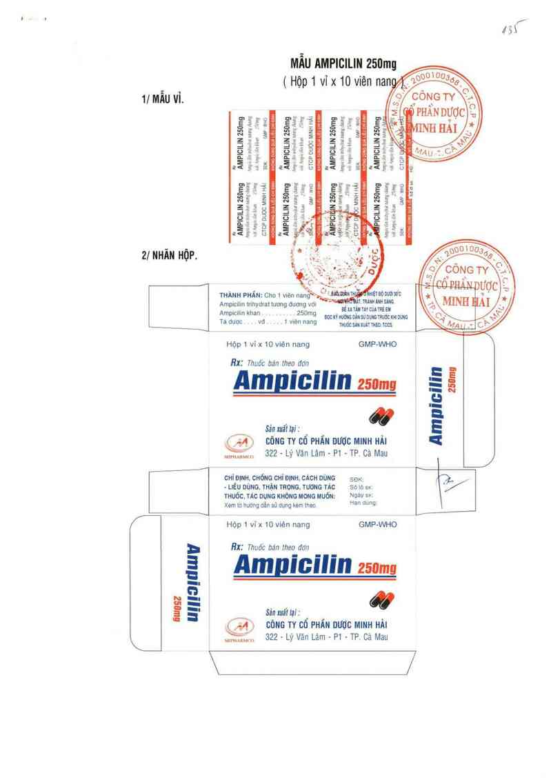 thông tin, cách dùng, giá thuốc Ampicilin 250 mg - ảnh 0