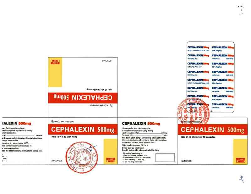 thông tin, cách dùng, giá thuốc Cephalexin 500 mg - ảnh 1