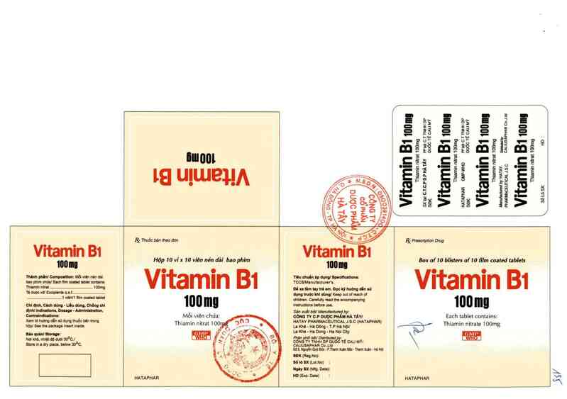 thông tin, cách dùng, giá thuốc Vitamin B1 100 mg - ảnh 0