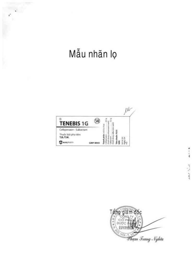 thông tin, cách dùng, giá thuốc Tenebis 1g - ảnh 1