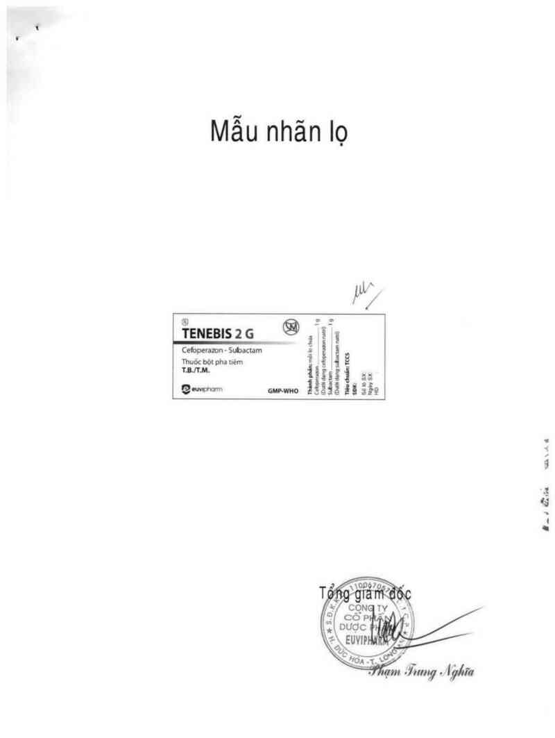 thông tin, cách dùng, giá thuốc Tenebis 2g - ảnh 1