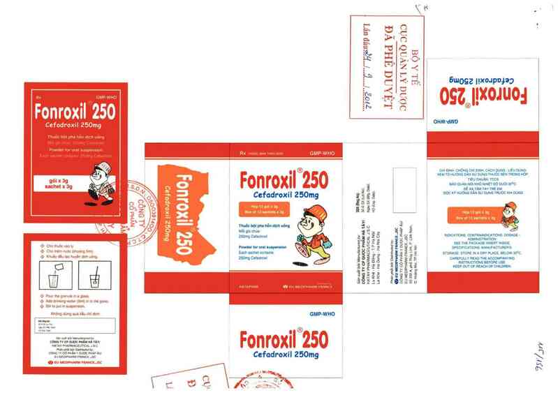 thông tin, cách dùng, giá thuốc Fonroxil 250 - ảnh 0