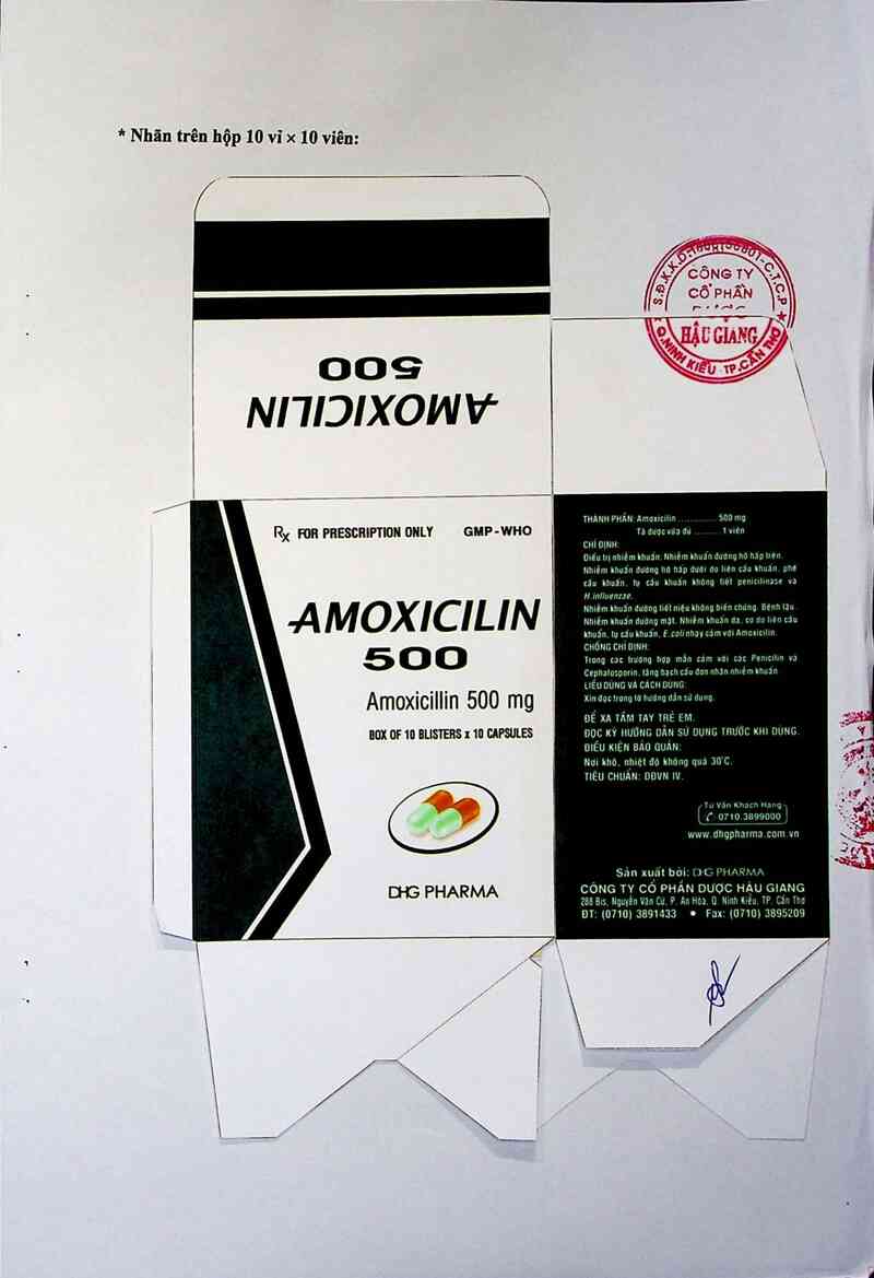 thông tin, cách dùng, giá thuốc Amoxicilin 500 - ảnh 2