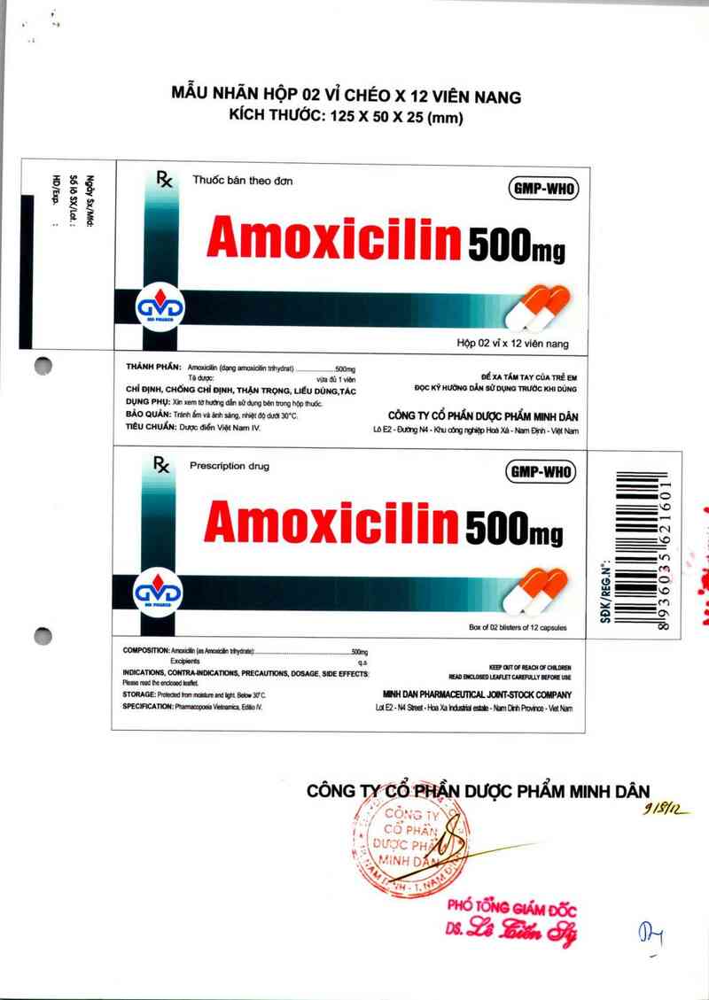 thông tin, cách dùng, giá thuốc Amoxicilin 500mg - ảnh 1