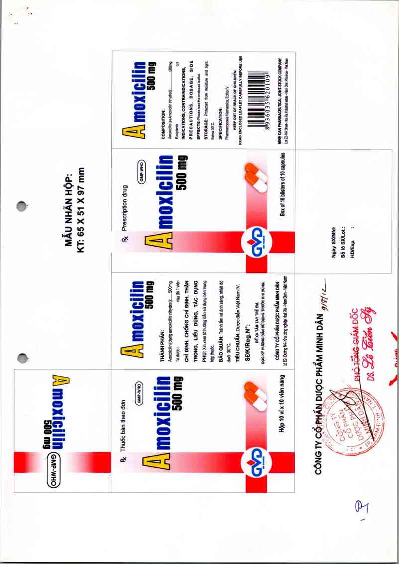 thông tin, cách dùng, giá thuốc Amoxicilin 500mg - ảnh 3