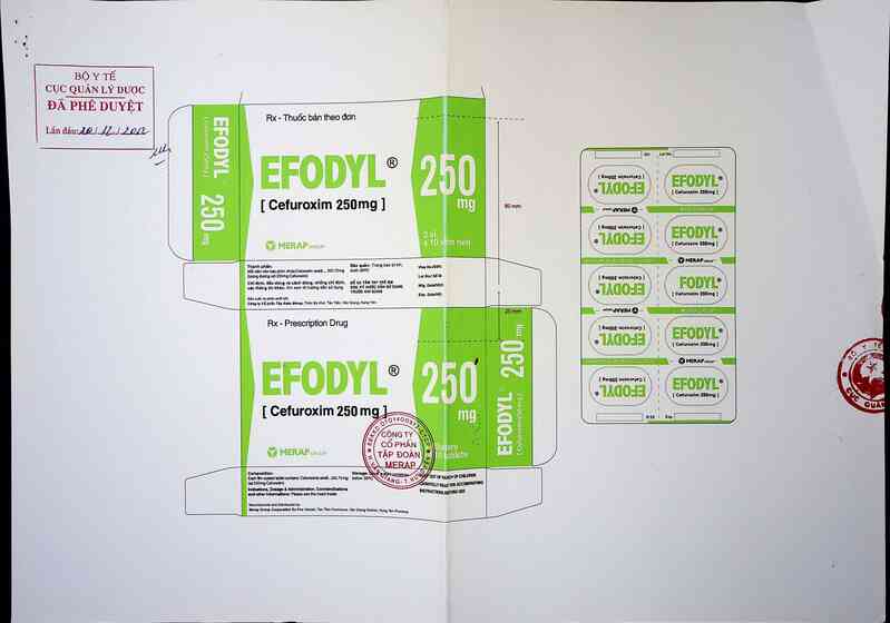 thông tin, cách dùng, giá thuốc Efodyl - ảnh 0