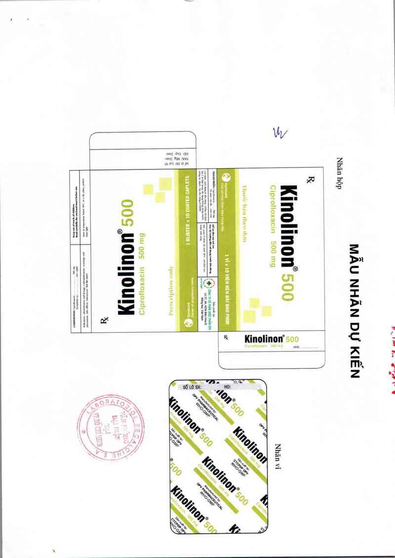 thông tin, cách dùng, giá thuốc Kinolinon 500mg - ảnh 2