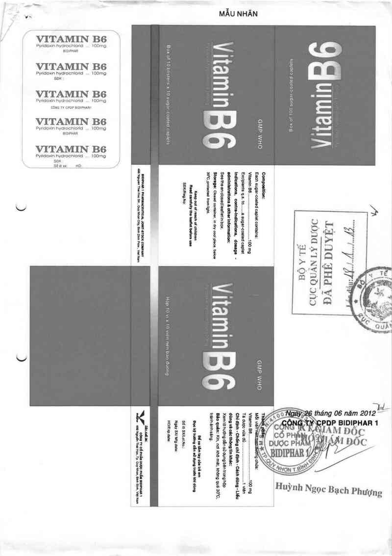 thông tin, cách dùng, giá thuốc Vitamin B6 100mg - ảnh 0