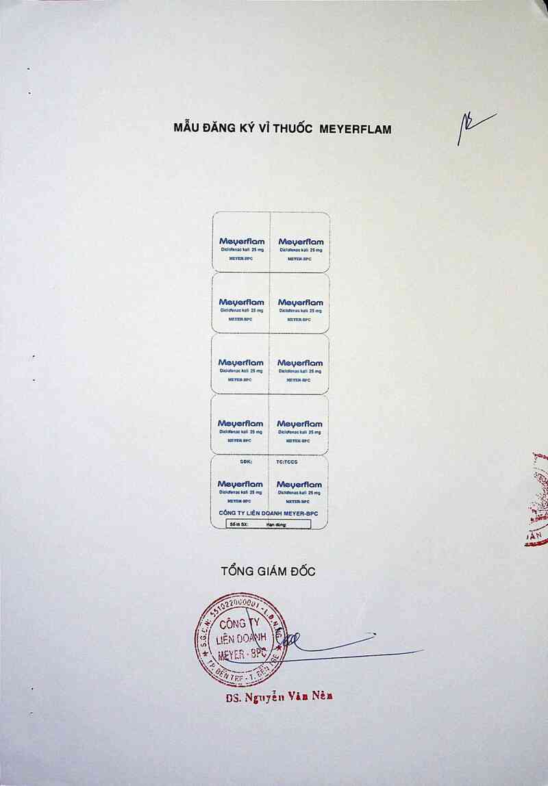 thông tin, cách dùng, giá thuốc Meyerflam - ảnh 2