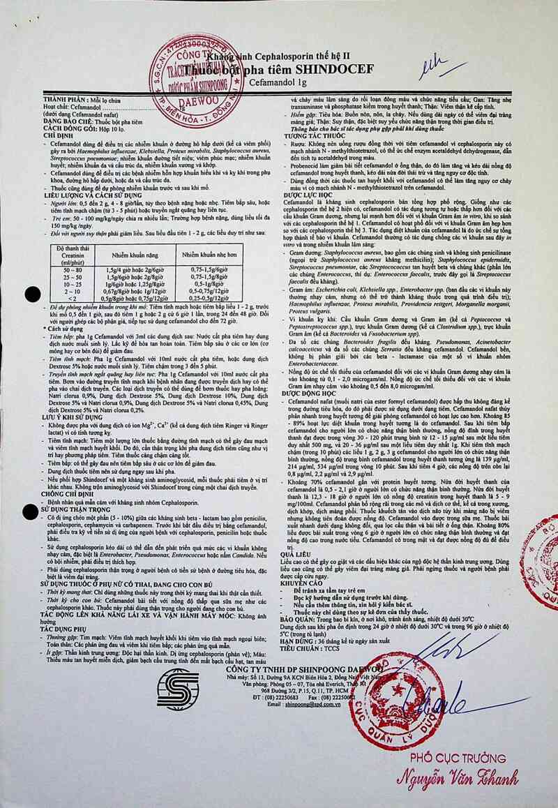 thông tin, cách dùng, giá thuốc Shindocef - ảnh 3