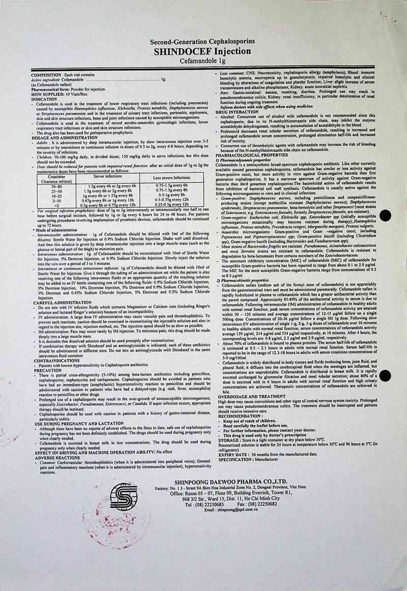 thông tin, cách dùng, giá thuốc Shindocef - ảnh 4