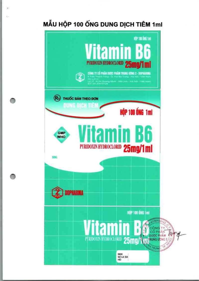thông tin, cách dùng, giá thuốc Vitamin B6 25 mg/1 ml - ảnh 1