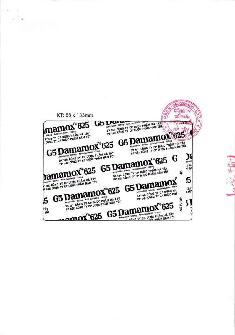 thông tin, cách dùng, giá thuốc G5 Damamox 625 - ảnh 1