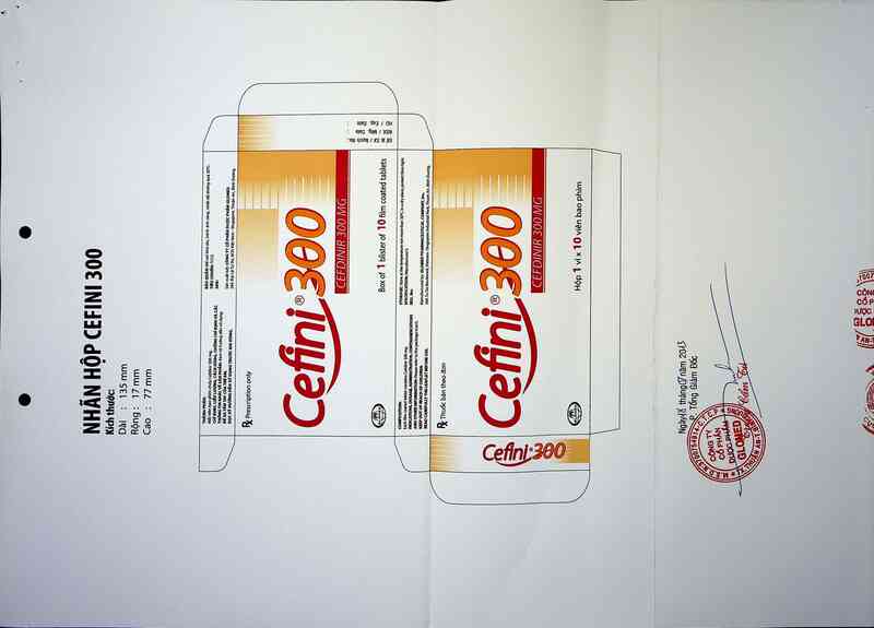 thông tin, cách dùng, giá thuốc Cefini 300 - ảnh 1