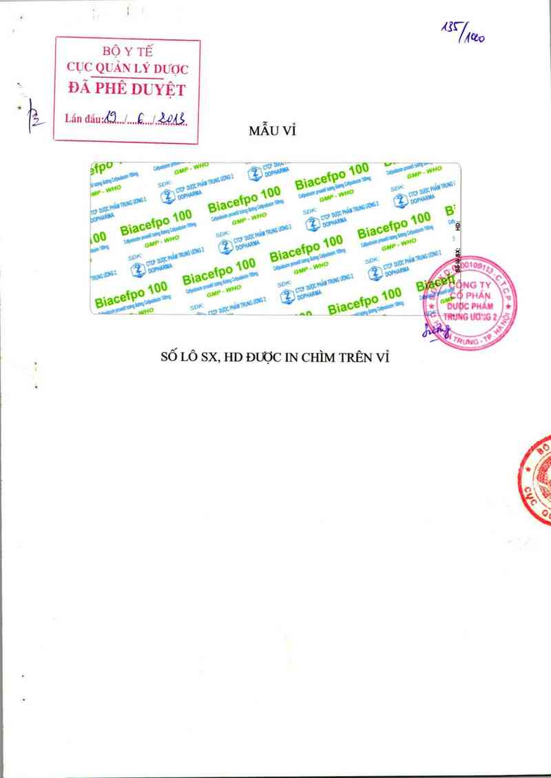 thông tin, cách dùng, giá thuốc Biacefpo 100 - ảnh 0