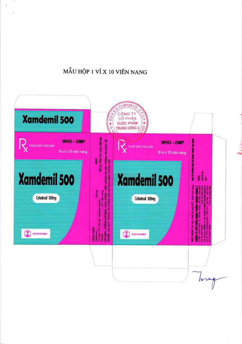 thông tin, cách dùng, giá thuốc Xamdemil 500 - ảnh 2