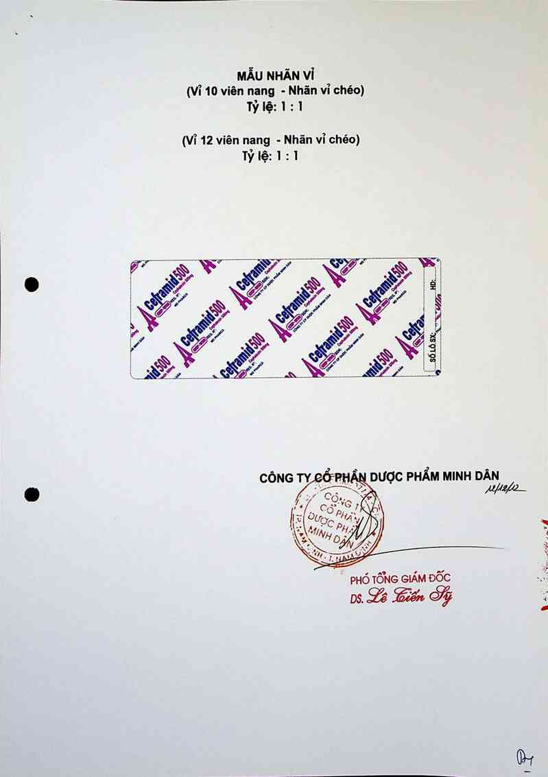 thông tin, cách dùng, giá thuốc Ceframid 500 - ảnh 4