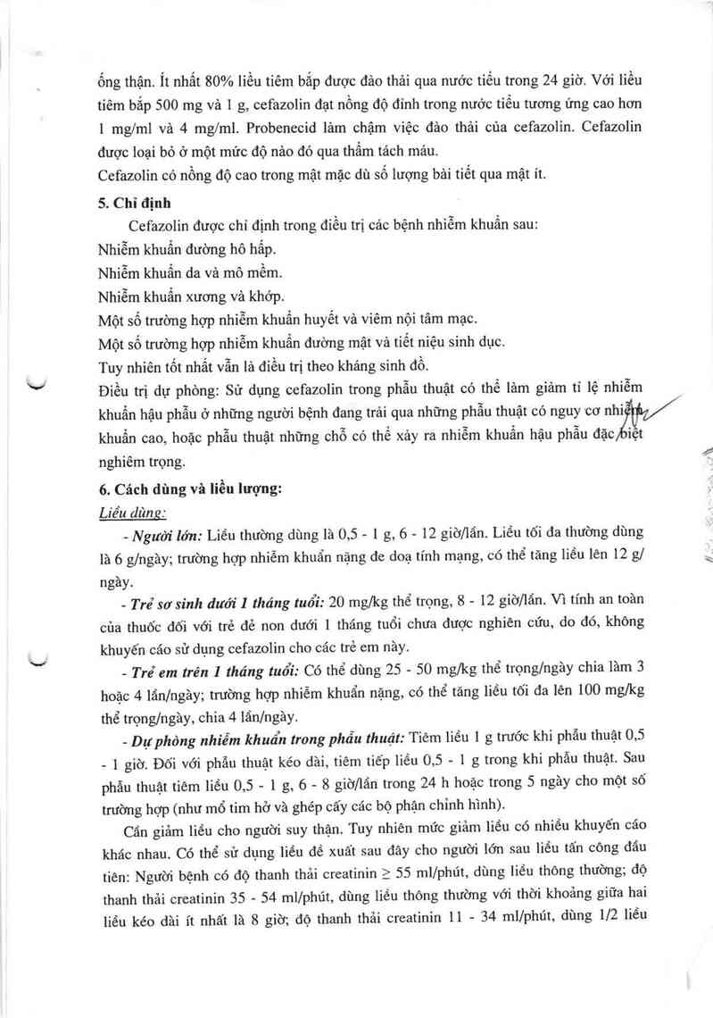 thông tin, cách dùng, giá thuốc Cefazolin ACS Dobfar - ảnh 5