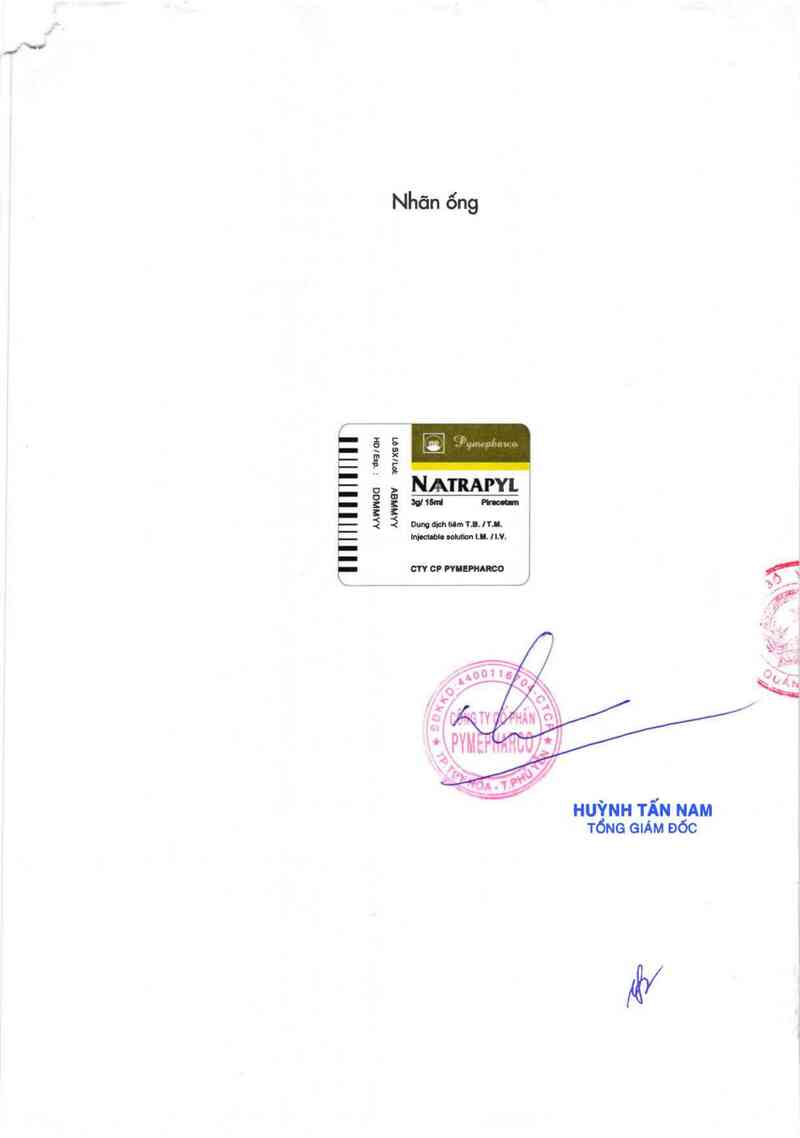 thông tin, cách dùng, giá thuốc Naatrapyl 3g - ảnh 1
