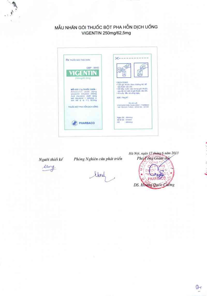thông tin, cách dùng, giá thuốc Vigentin 250mg/62,5mg - ảnh 1