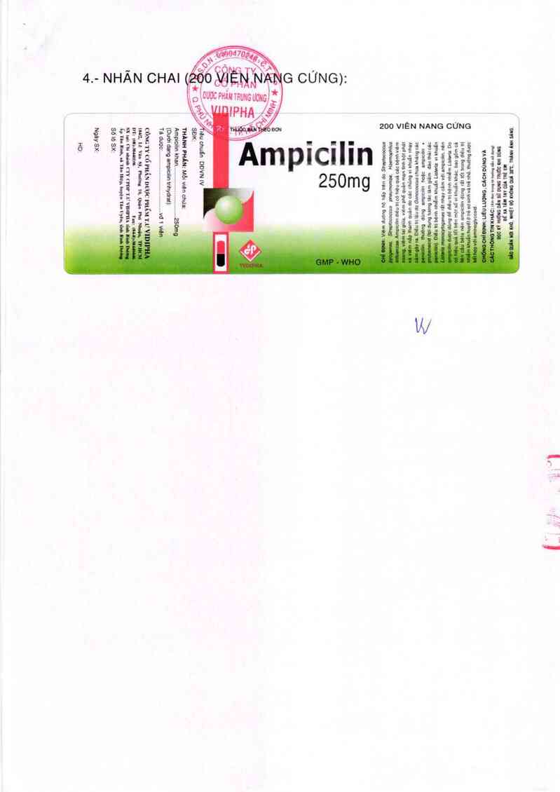 thông tin, cách dùng, giá thuốc Ampicilin 250mg - ảnh 2