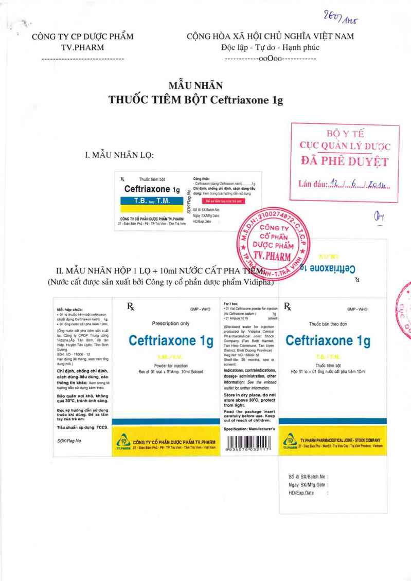 thông tin, cách dùng, giá thuốc Ceftriaxone 1g - ảnh 0