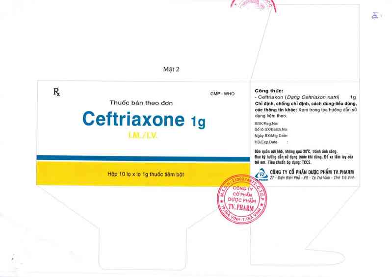 thông tin, cách dùng, giá thuốc Ceftriaxone 1g - ảnh 2