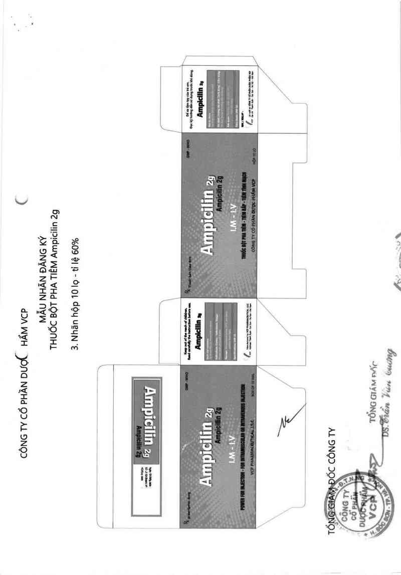 thông tin, cách dùng, giá thuốc Ampicilin 2g - ảnh 1