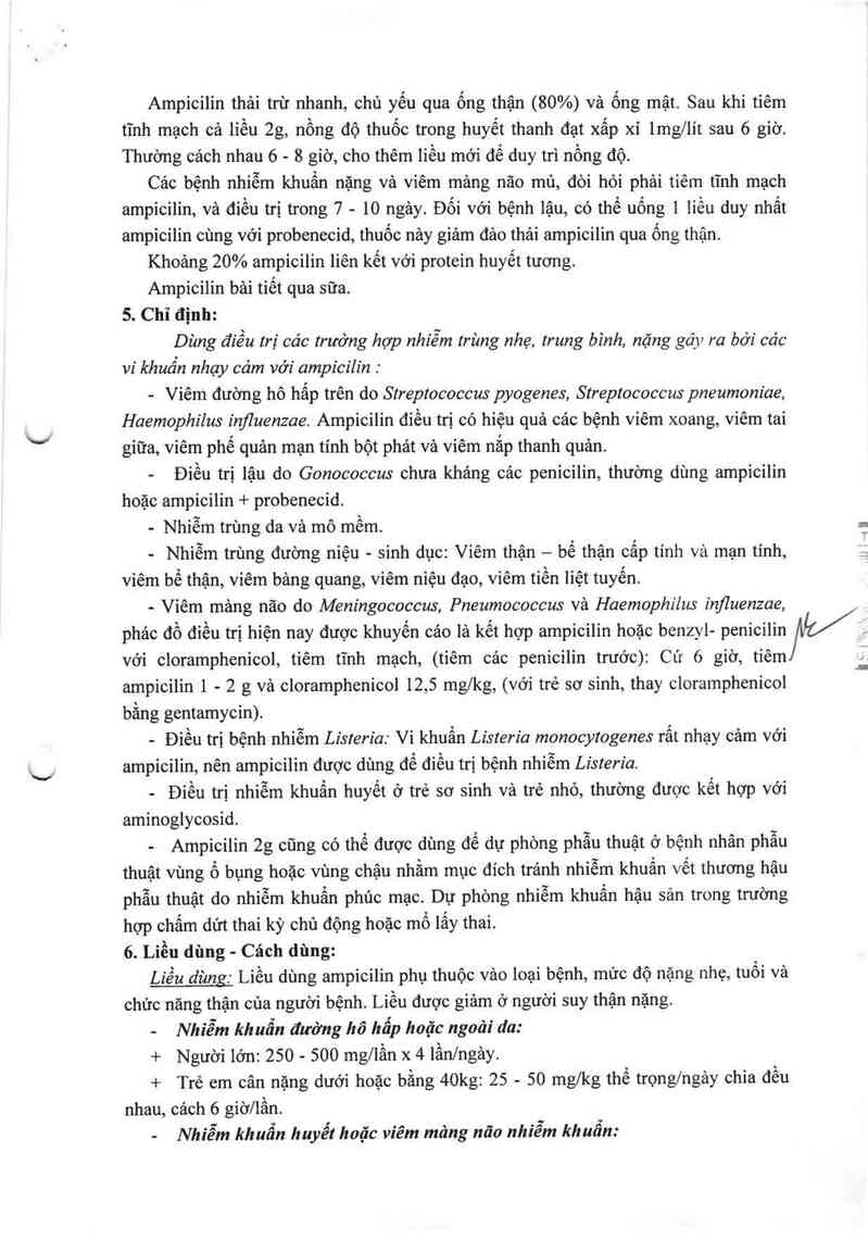 thông tin, cách dùng, giá thuốc Ampicilin 2g - ảnh 4