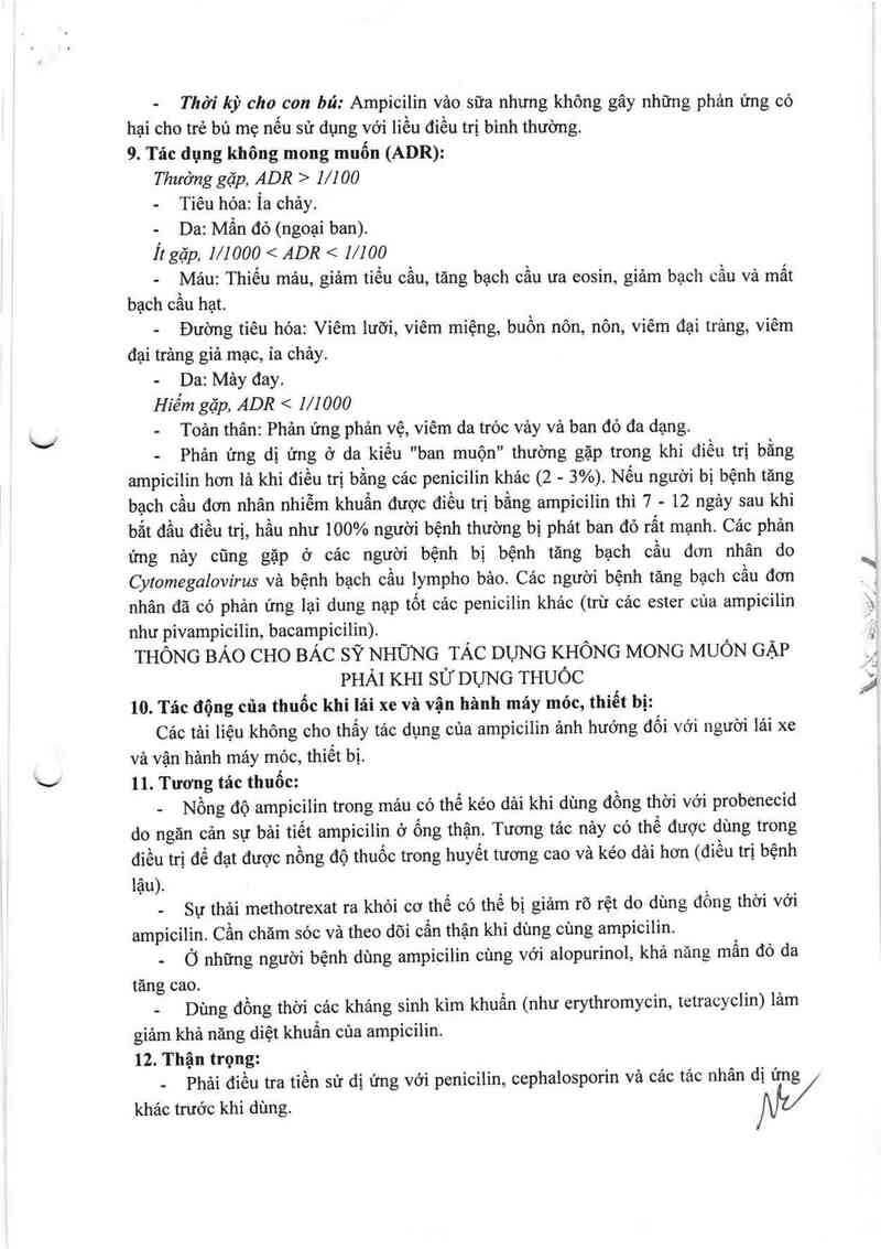 thông tin, cách dùng, giá thuốc Ampicilin 2g - ảnh 6