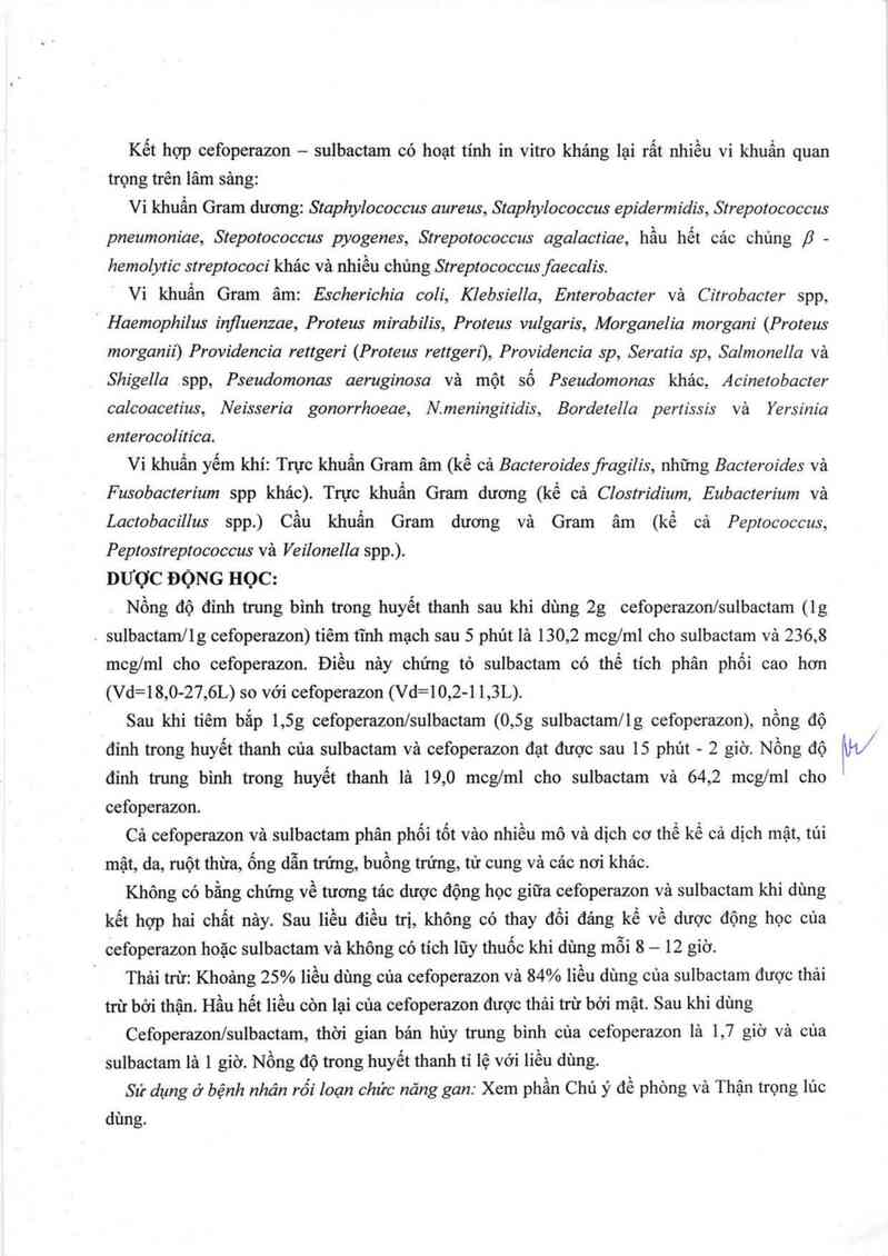 thông tin, cách dùng, giá thuốc Cefbactam VCP - ảnh 6