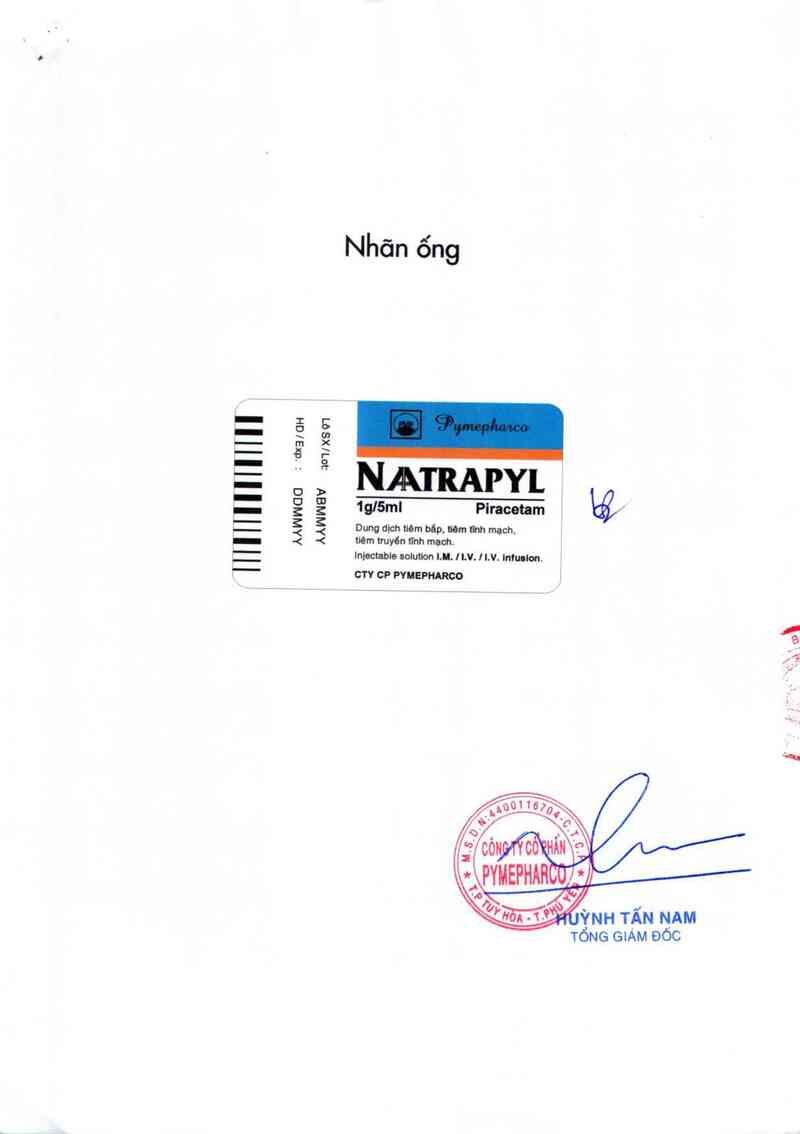 thông tin, cách dùng, giá thuốc Naatrapyl 1g - ảnh 1