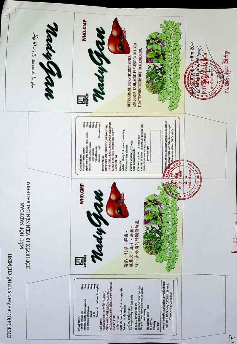 thông tin, cách dùng, giá thuốc Nadygan - ảnh 3