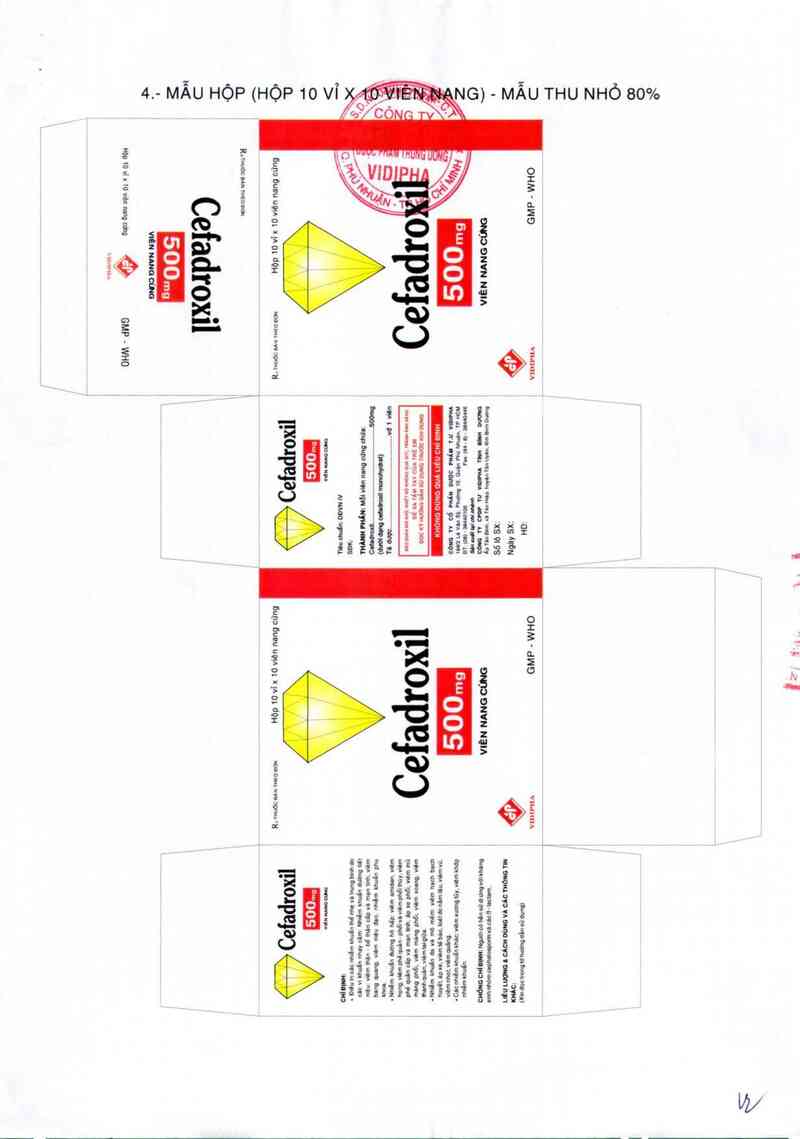 thông tin, cách dùng, giá thuốc Cefadroxil 500mg - ảnh 2