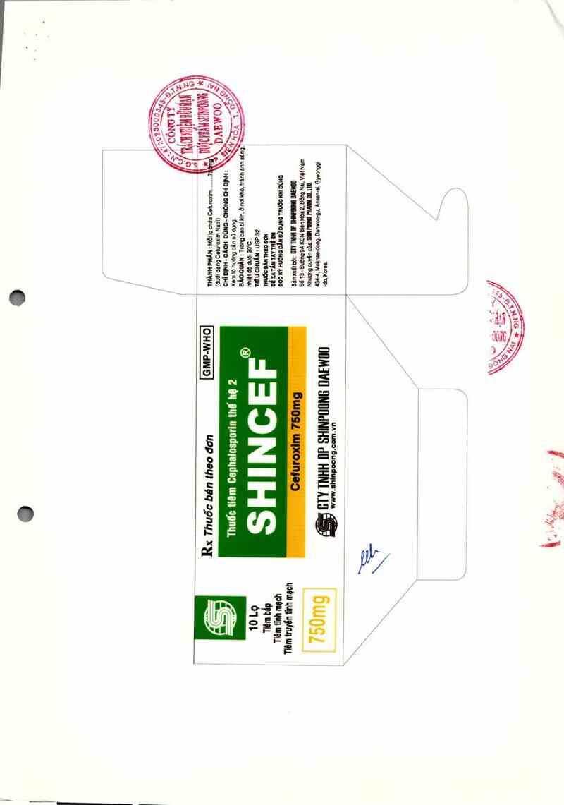 thông tin, cách dùng, giá thuốc Shincef - ảnh 2