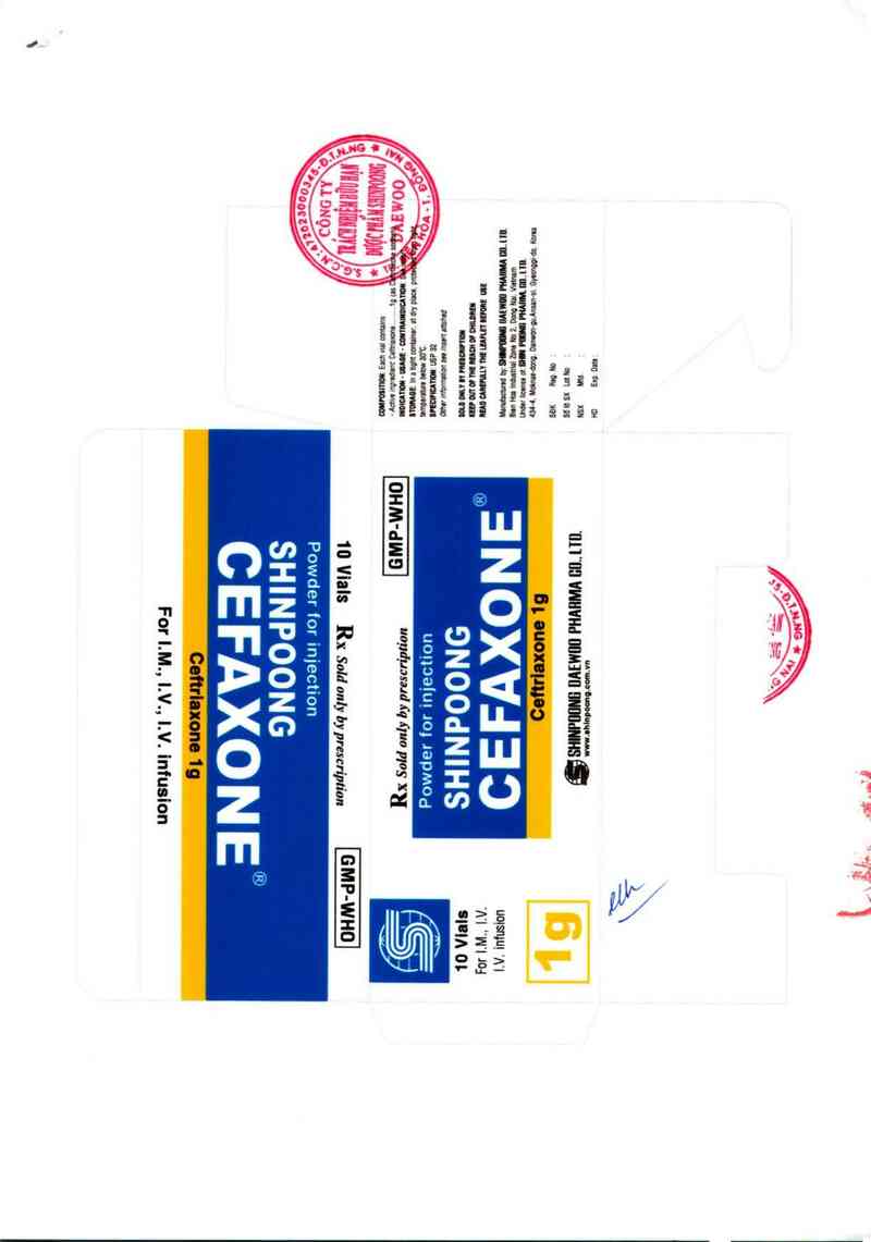 thông tin, cách dùng, giá thuốc Shinpoog Cefaxone - ảnh 2