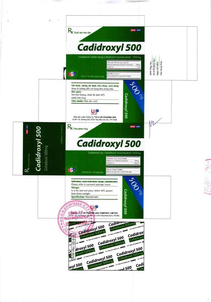 thông tin, cách dùng, giá thuốc Cadidroxyl 500 - ảnh 1