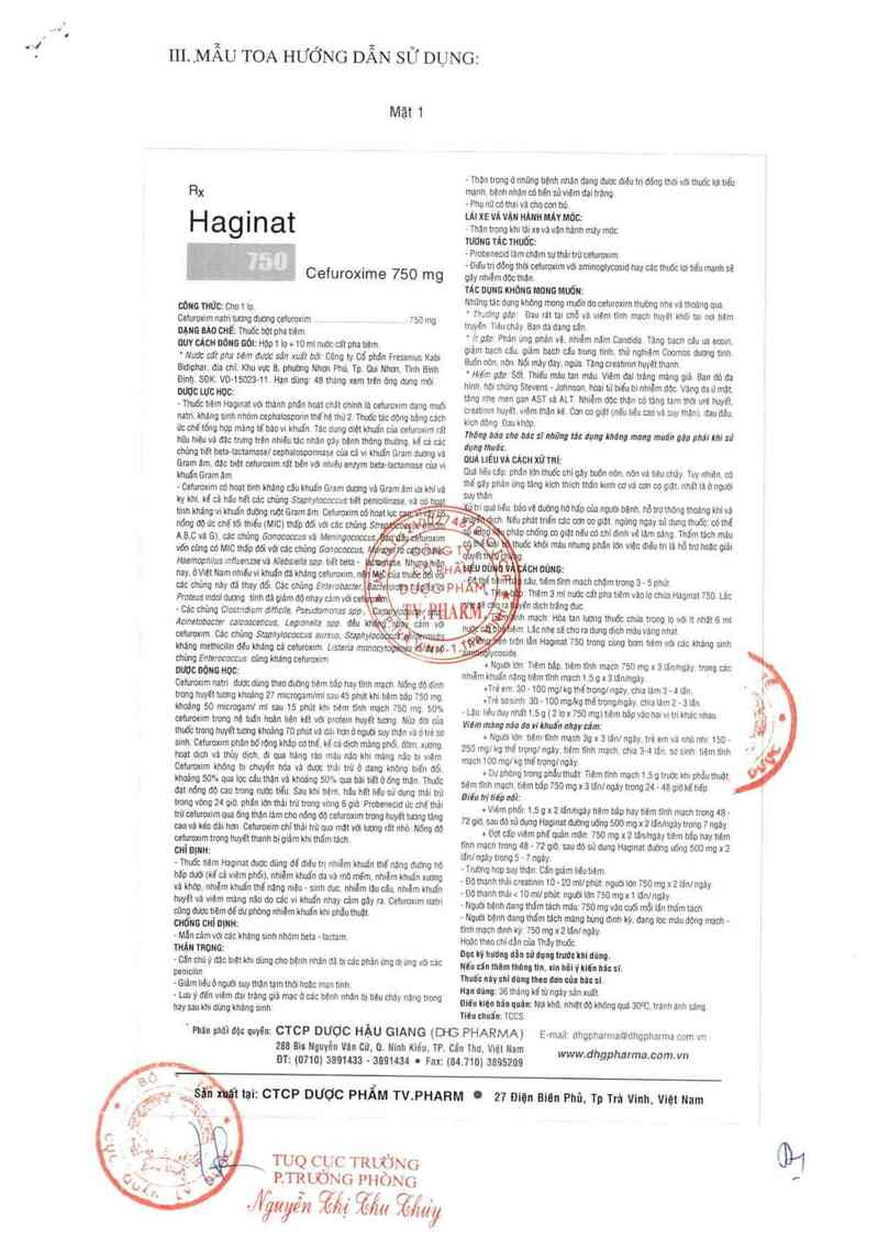 thông tin, cách dùng, giá thuốc Haginat 750mg - ảnh 2