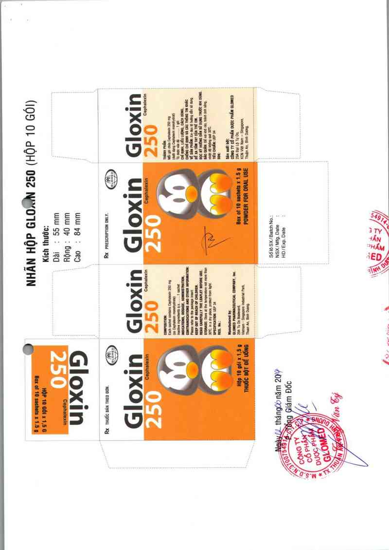thông tin, cách dùng, giá thuốc Gloxin 250 - ảnh 1
