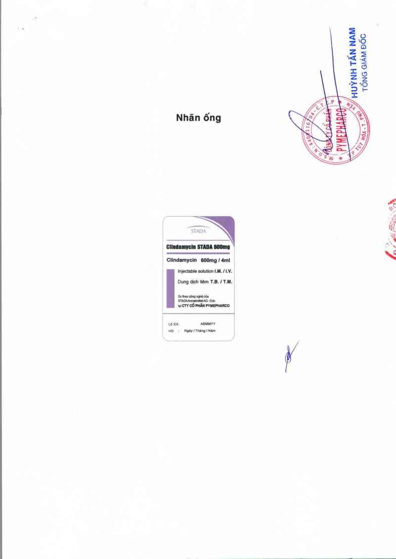thông tin, cách dùng, giá thuốc Clindamycin Stada 600mg - ảnh 1