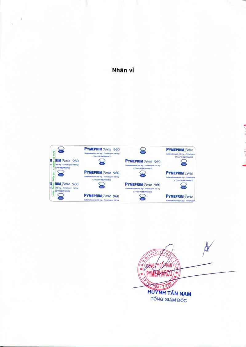 thông tin, cách dùng, giá thuốc Pymeprim forte 960 - ảnh 2