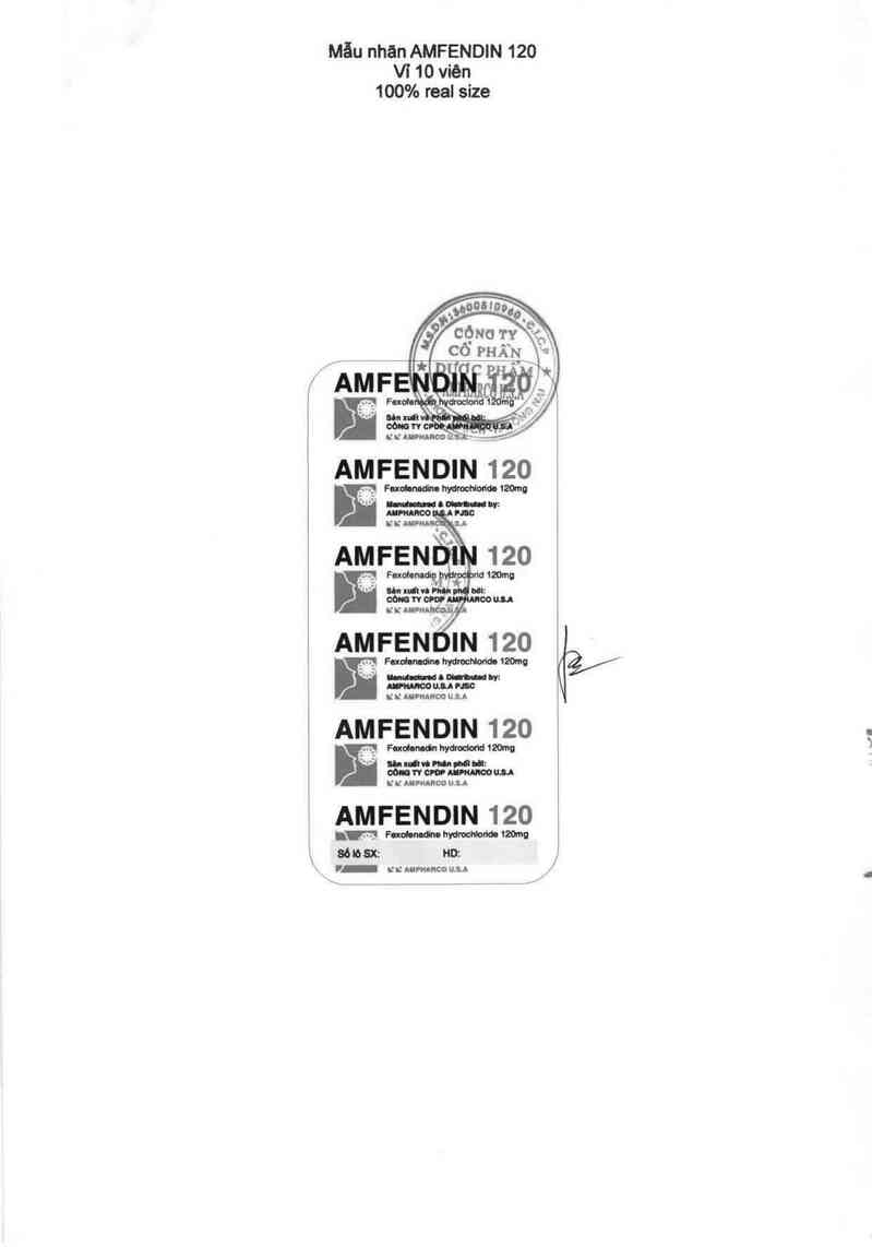 thông tin, cách dùng, giá thuốc Amfendin 120 - ảnh 4