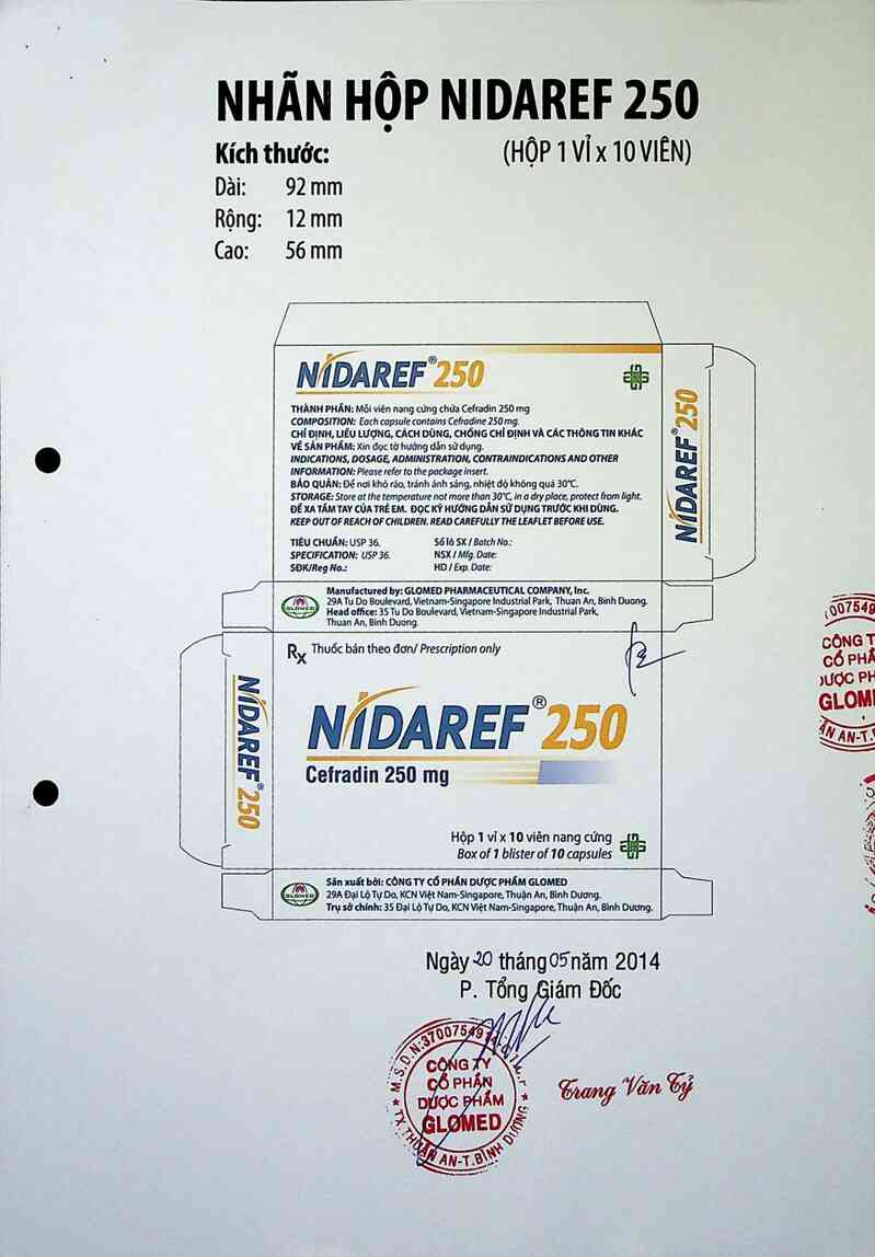 thông tin, cách dùng, giá thuốc Nidaref 250 - ảnh 1
