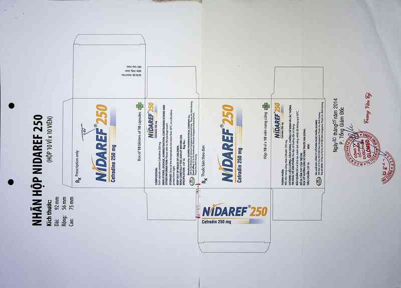 thông tin, cách dùng, giá thuốc Nidaref 250 - ảnh 2